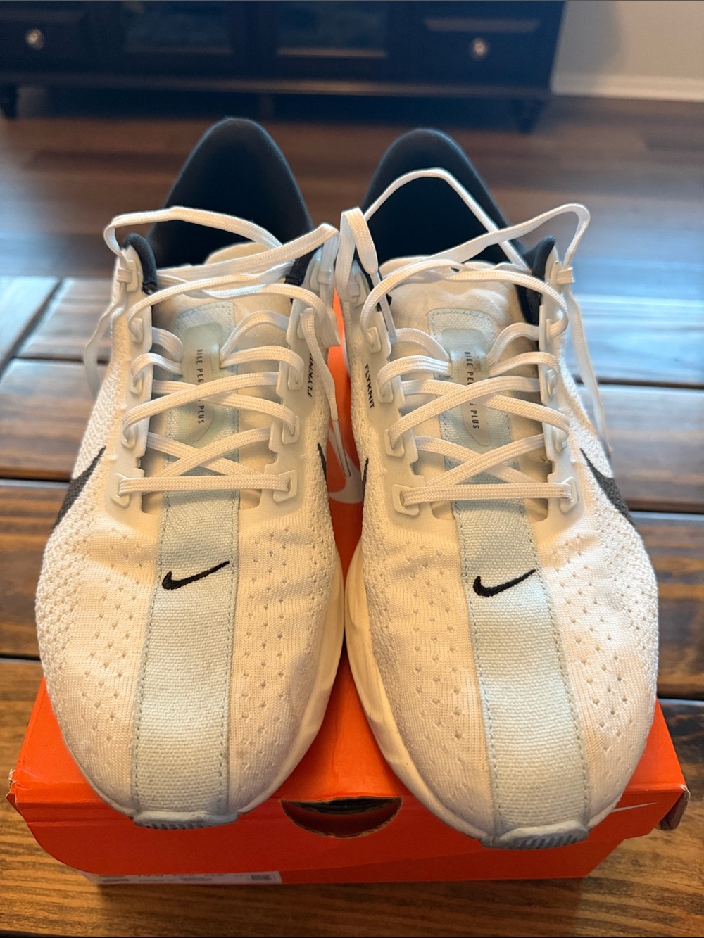 Pegasus Plus. Sz. 12 - Picture 3 of 5